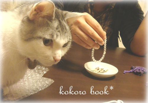 kokoro book*