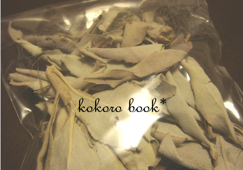 kokoro book*