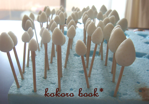 kokoro book*