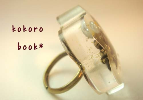 kokoro book*