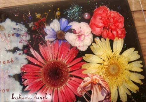 kokoro book*
