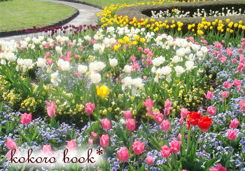 kokoro book*