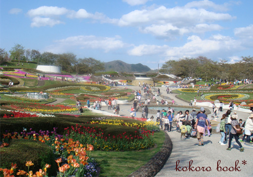 kokoro book*