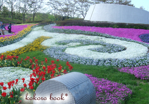 kokoro book*
