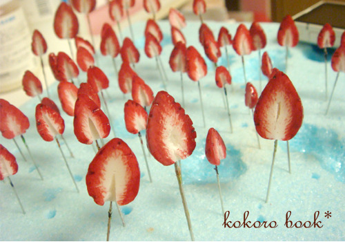 kokoro book*