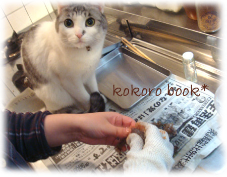 ★kokoro bookの　夢の国★　