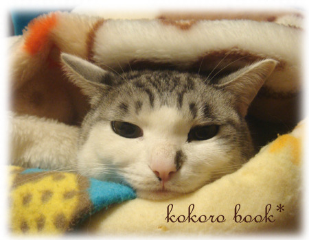 kokoro book*