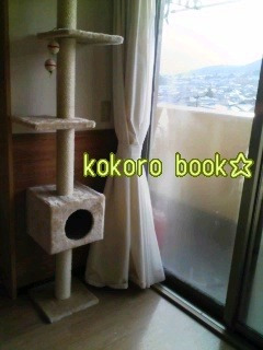 ★kokoro bookの　夢の国★　-091216_0920~01.jpg
