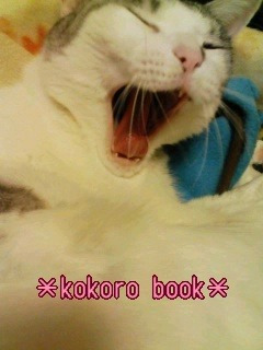 ★kokoro book★ -091130_1810~01001.jpg